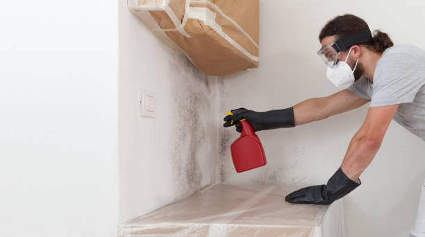 Professional Bathroom Mold Removal technician working in Gaston, NC