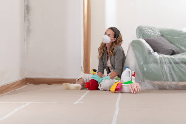 Reliable Bathroom Mold Removal contractor in Gaston, NC by 24 Hour Mold Removal